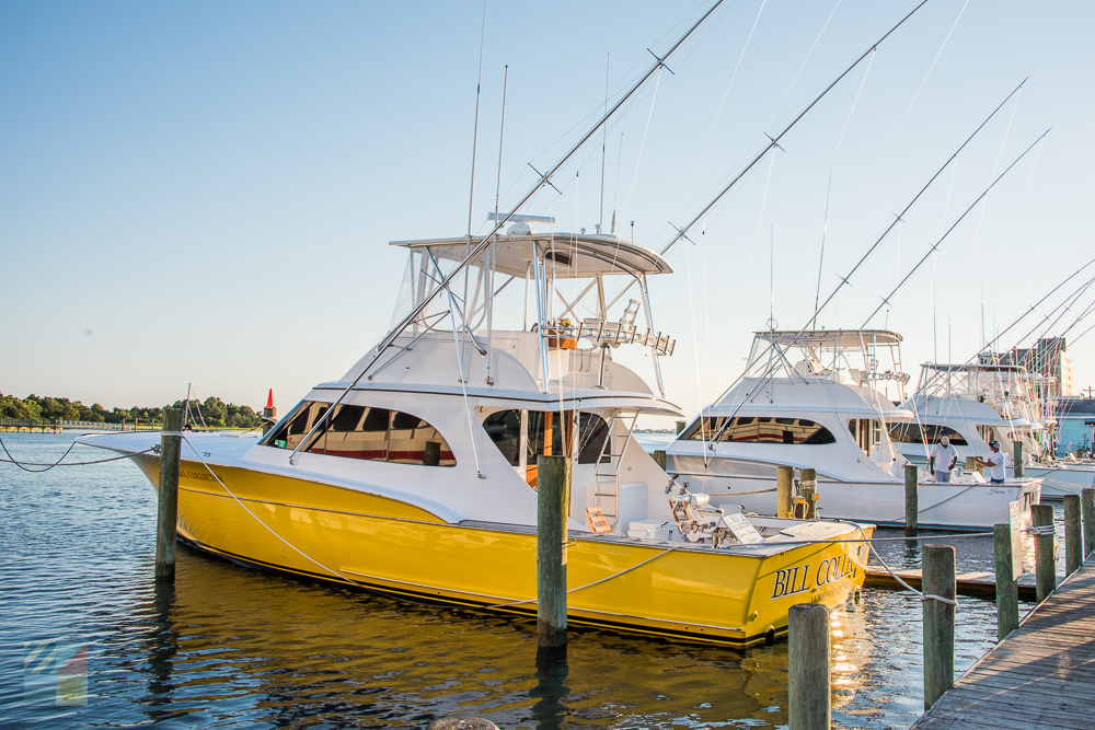 Charter boats in Morehead City NC