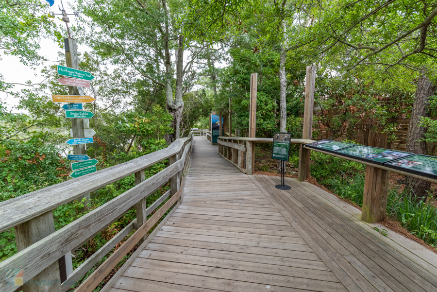 Pine Knoll Shores  North Carolina Aquariums