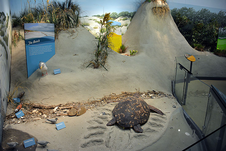 Exhibits at Fort Macon State Park