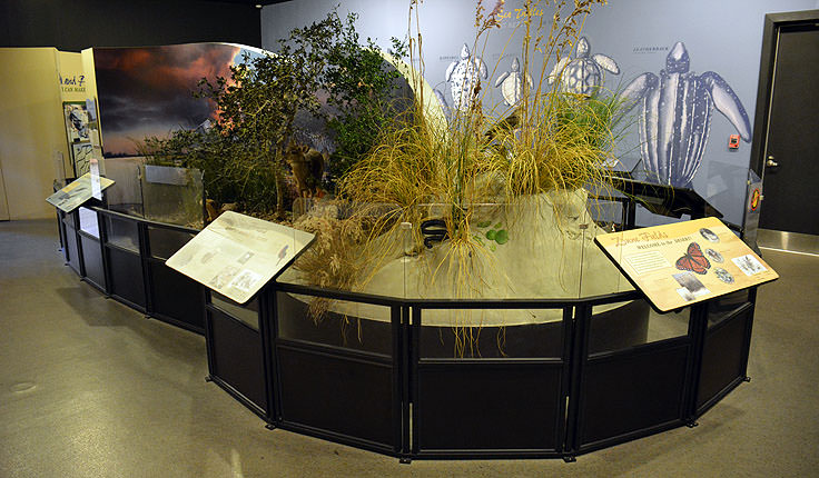 Exhibits at Hammocks Beach State Park