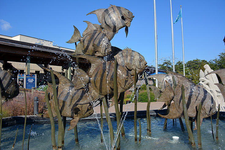Fish sculpture at N.C. Aquarium at Pine Knoll Shores