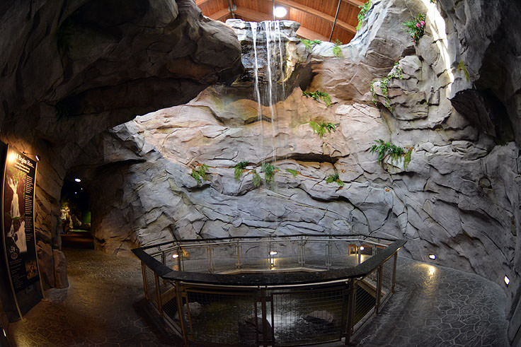 Exhibits at N.C. Aquarium at Pine Knoll Shores