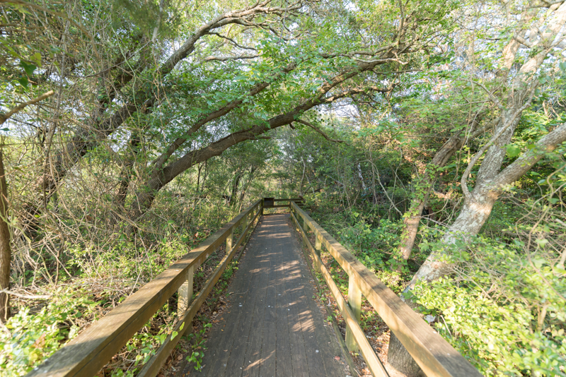 Hoop Pole Creek trail