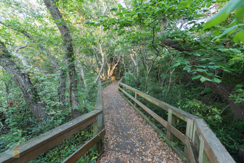 Hoop Pole Creek trail in Atlantic Beach NC