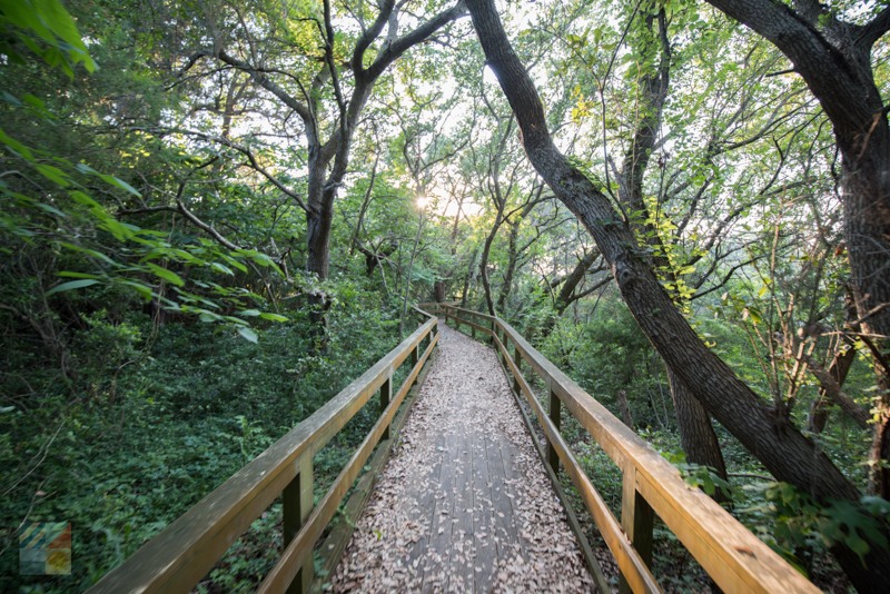 Hoop Pole Creek trail in Atlantic Beach NC