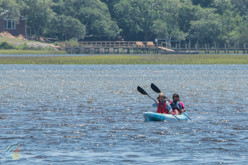 Many aquatic tours are available from downtown Beaufort NC