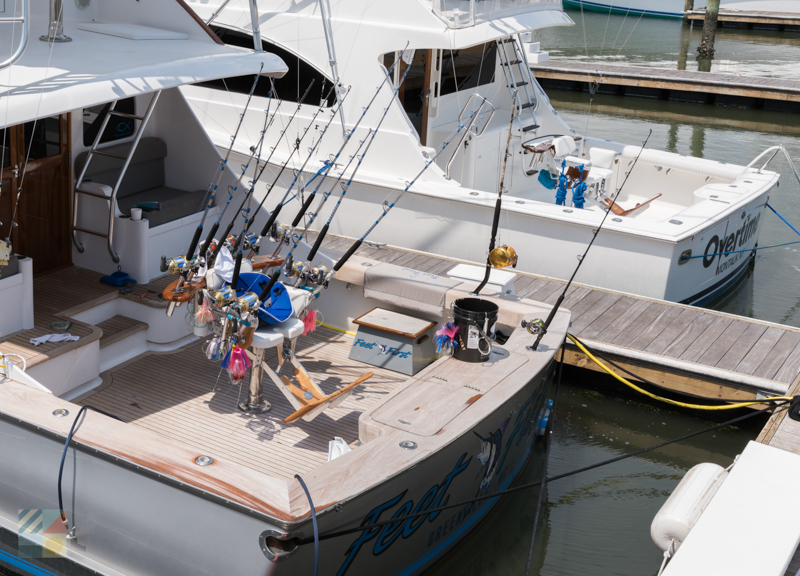 Headboat in Morehead City