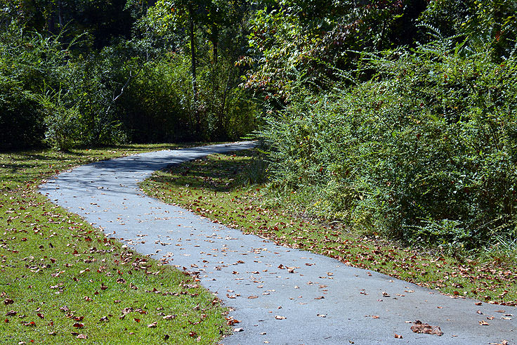 Walking and biking path in the Neuse River Recreation Area