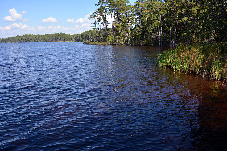 Cahooque Creek