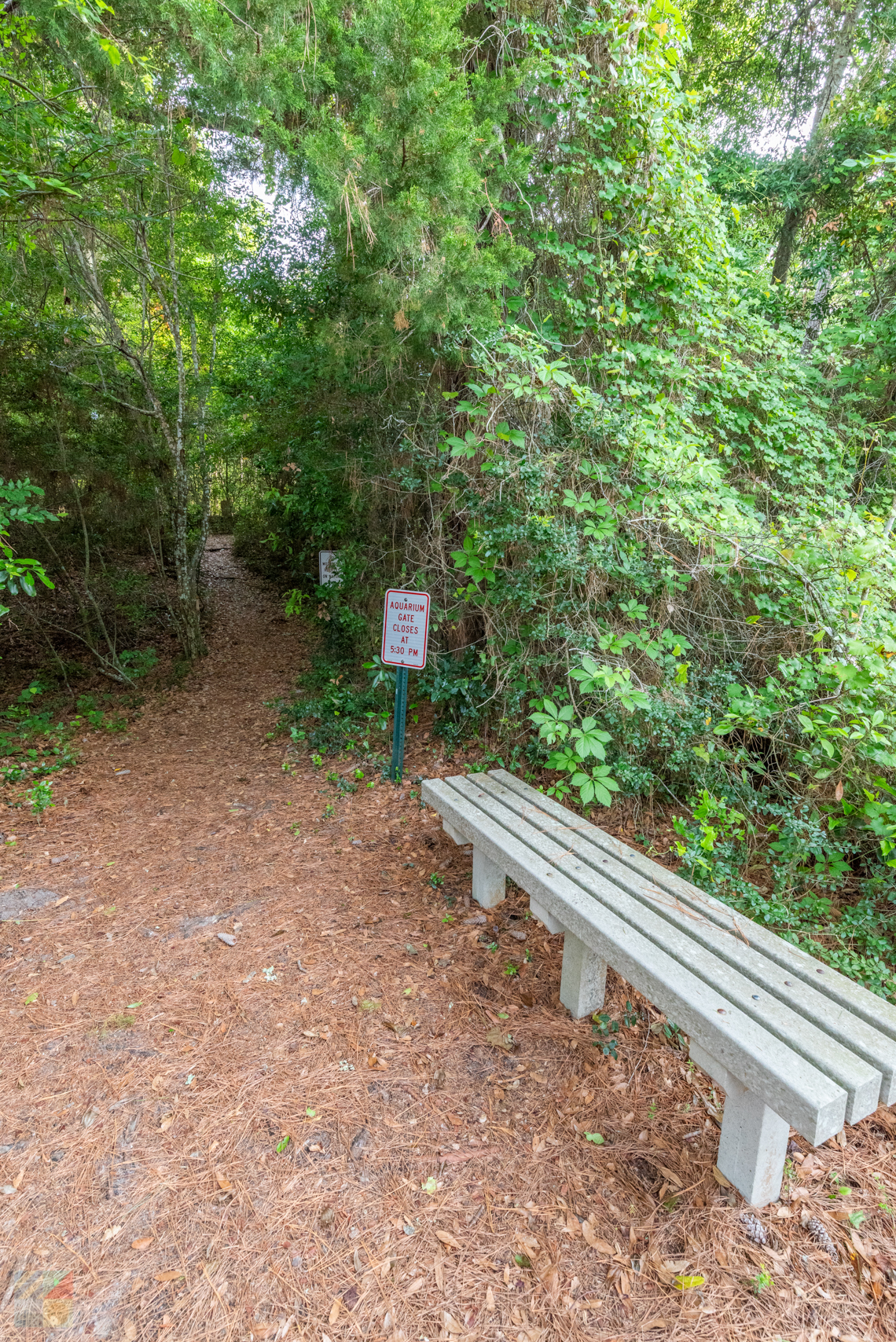 Theodore Roosevelt Natural Area