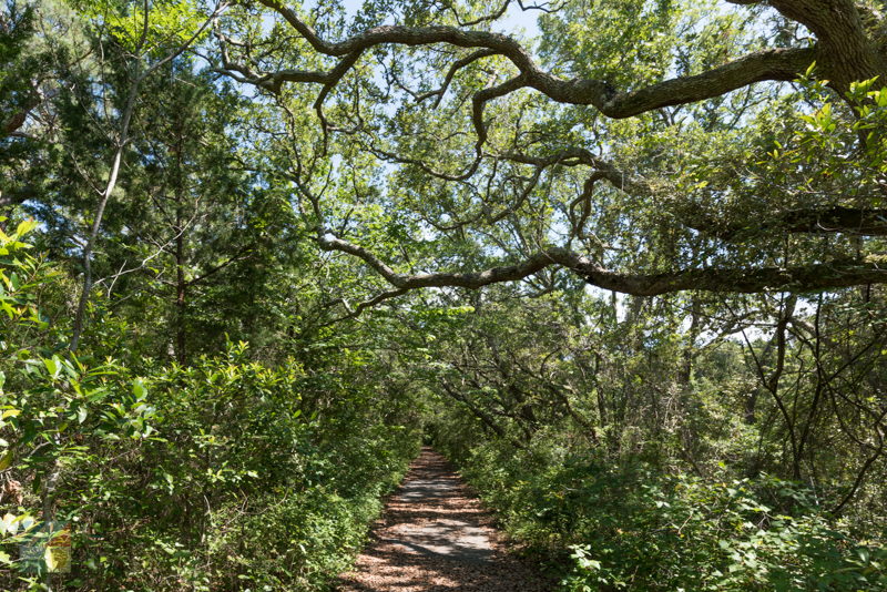 Hoop Pole Creek Nature Trail