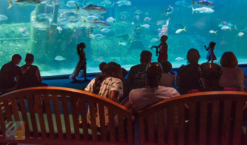 NC Aquarium at Pine Knoll Shores