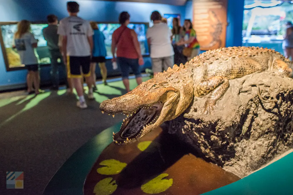 NC Aquarium at Pine Knoll Shores