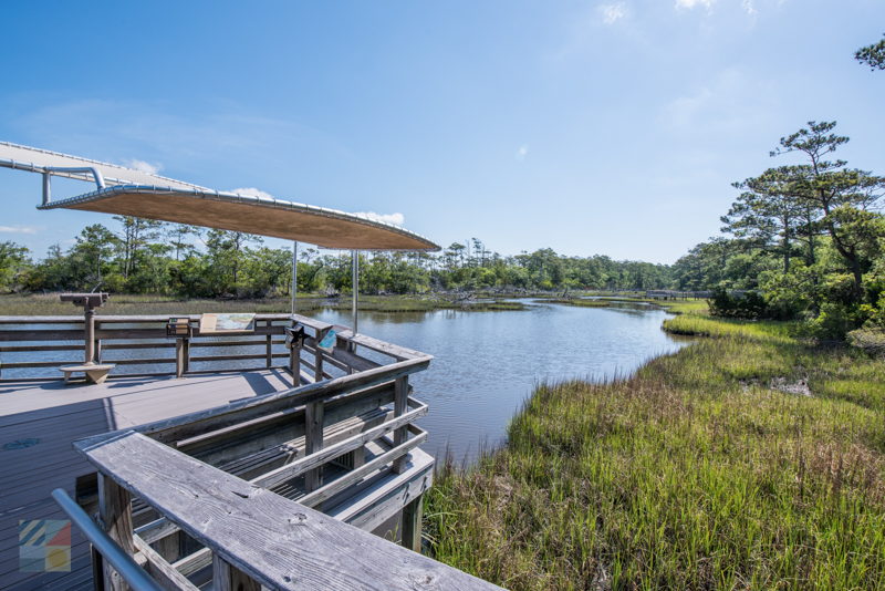 Exhibits at N.C. Aquarium at Pine Knoll Shores