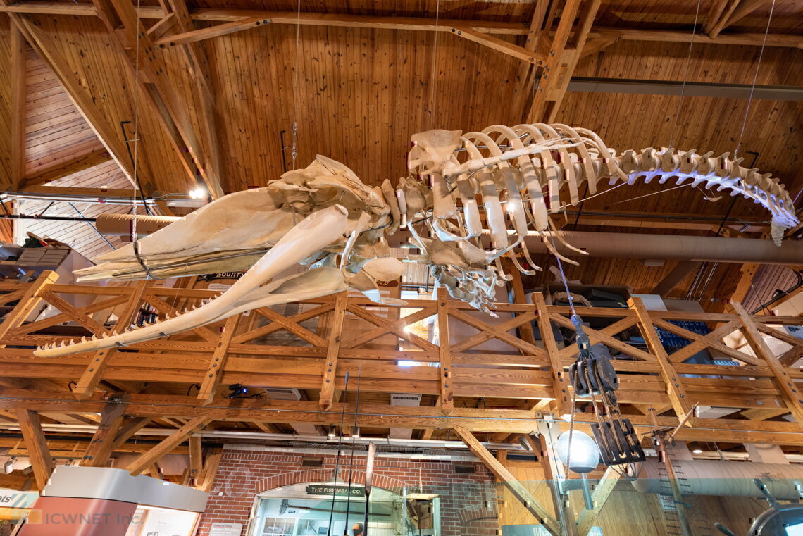 North Carolina Maritime Museum at Beaufort