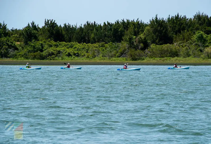 Kayakers in front of the Rachel Carson Reserve