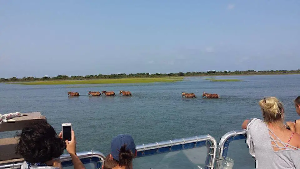 Miss Crystal Coast Cruises