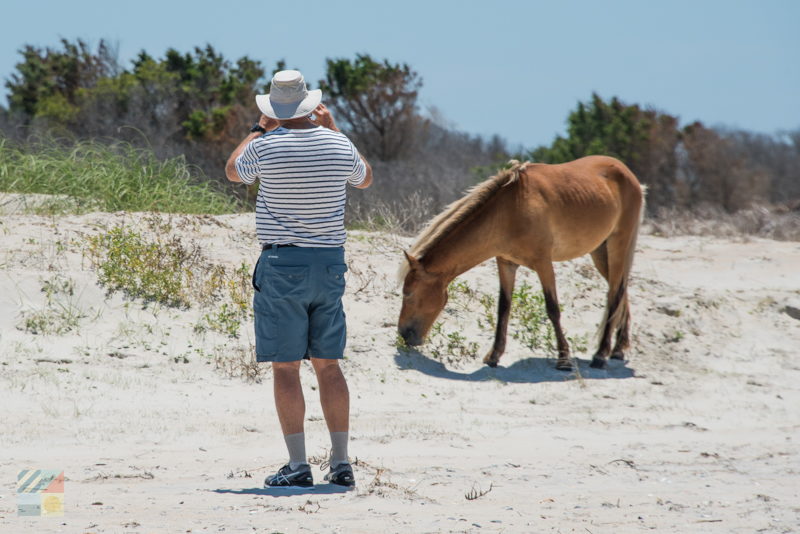 Shackleford Banks