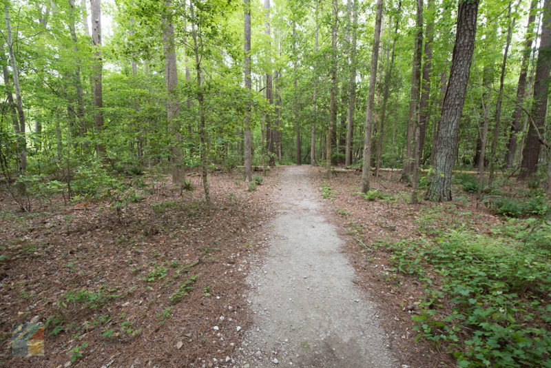 Latham Whitehurst Nature Park