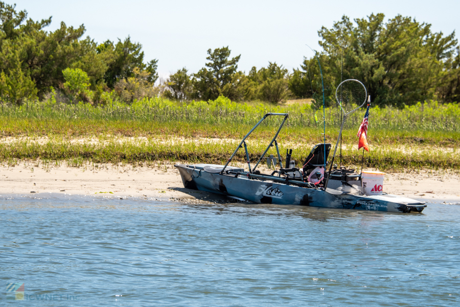 Kayak fishing at the Rachel Carson Reserve