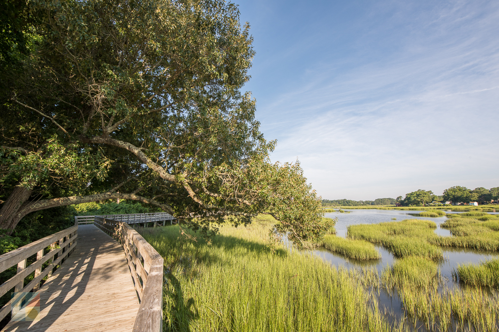 Calico Creek Boardwalk near Beaufort NC