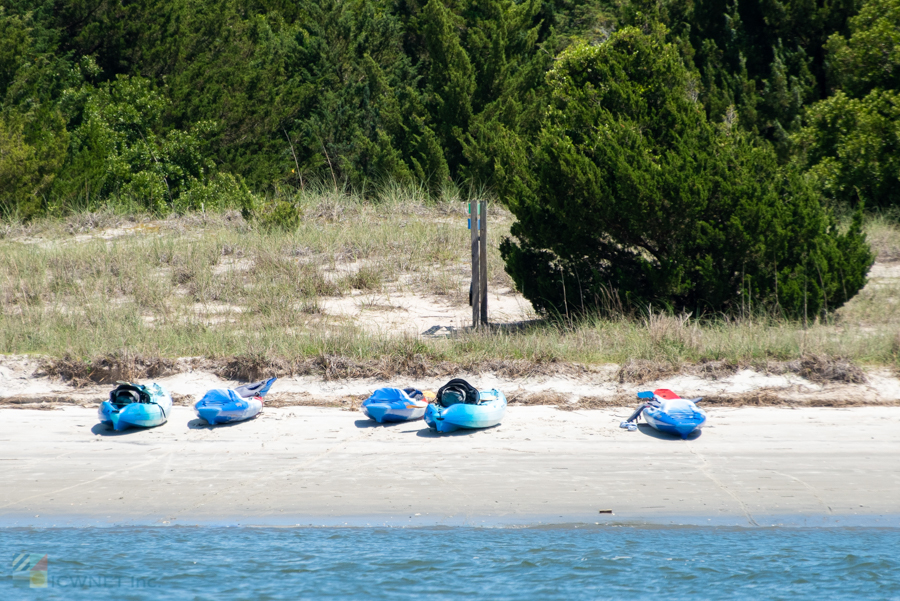 Rachel Carson Reserve