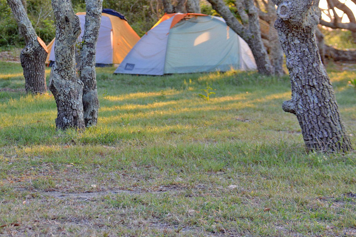 Camping near Morehead City - Morehead.com