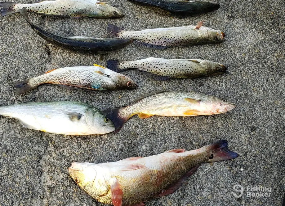 Triple T Charters charter image 6