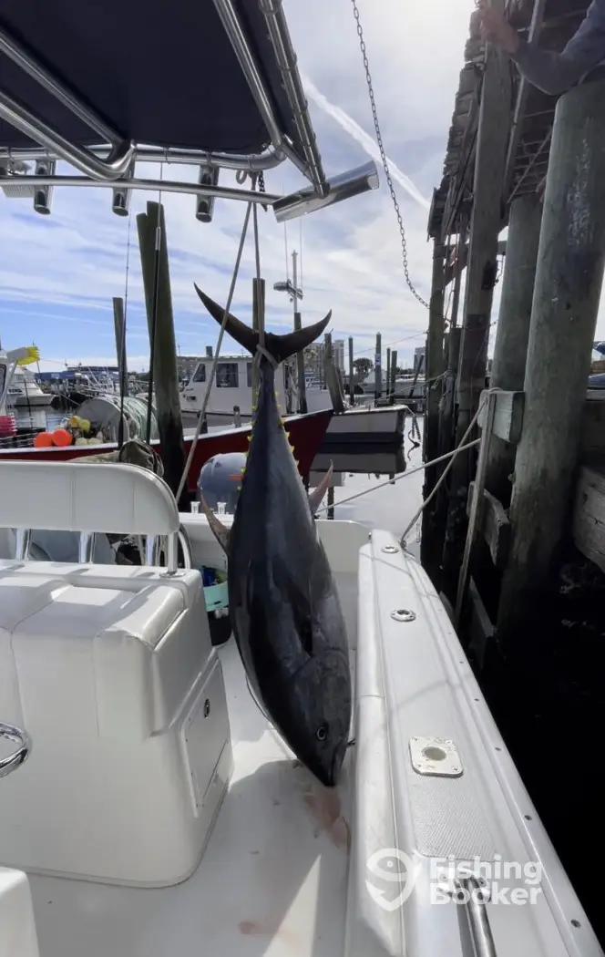 Grassy Sound Charters charter image 5