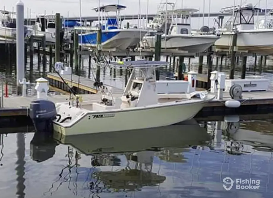 Fintasia Charters charter image 2