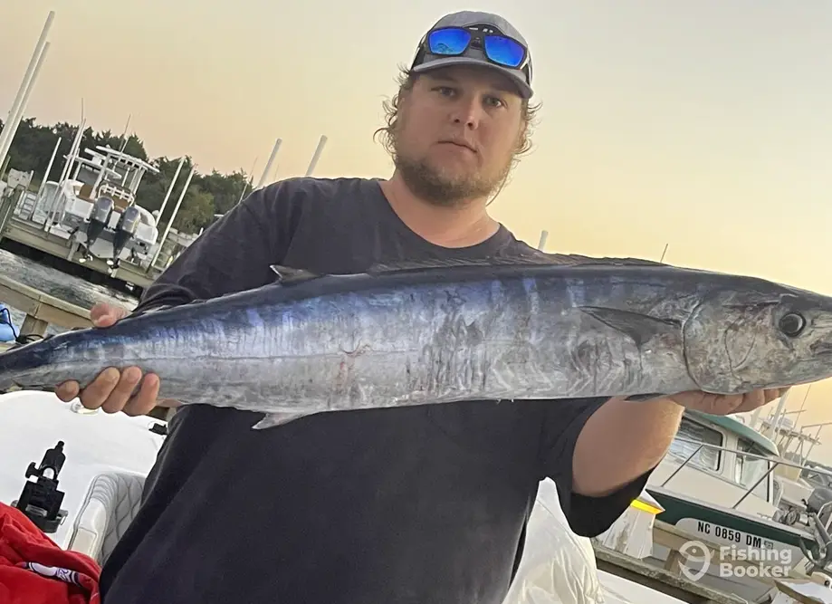 Ali-Kat Too charter image 2