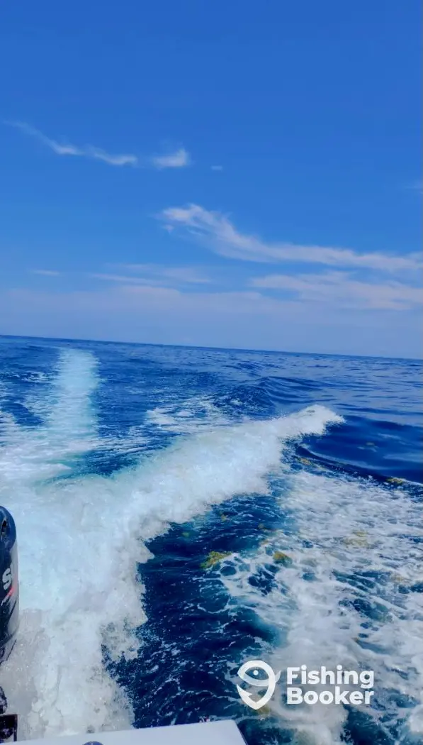 Tail Chaser Charters charter image 2