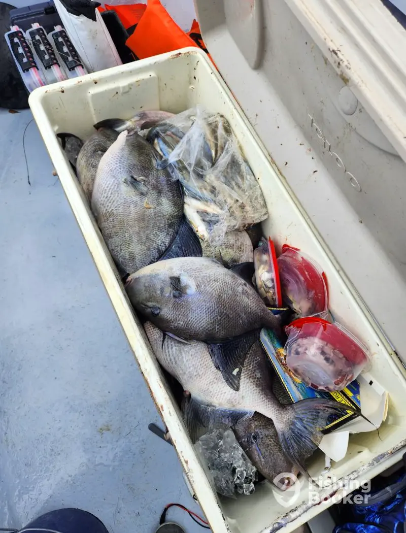 Tail Chaser Charters charter image 5