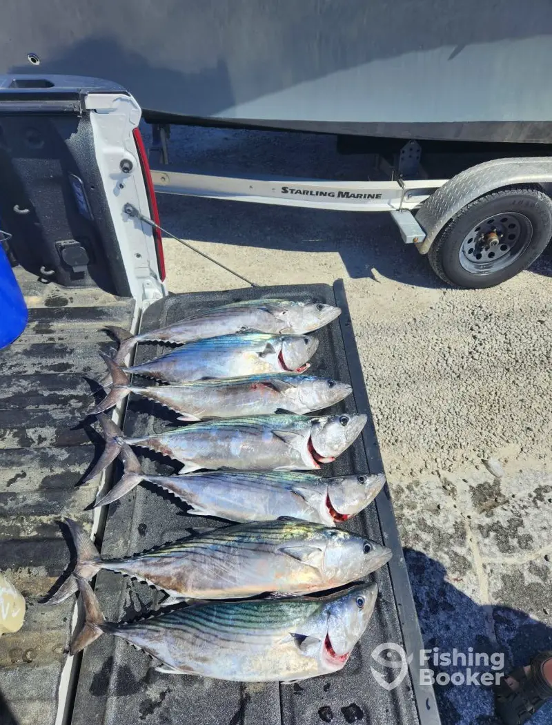 Tail Chaser Charters charter image 6