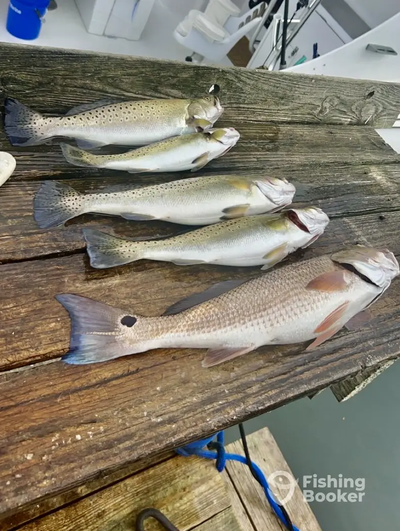 Carolina Charter Co. charter image 5